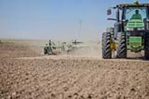 14 Fallow Master Orthman